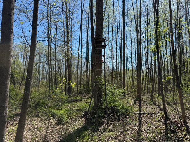 view of landscape featuring a forest view | Image 33