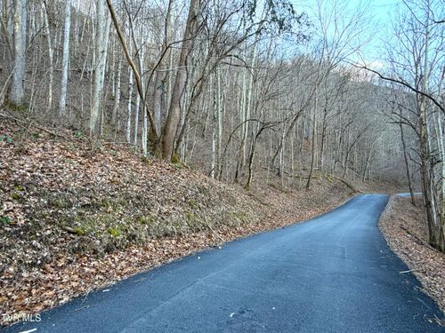14 Ac Horton Ford Rd, Eidson, TN, 37731 | Card Image