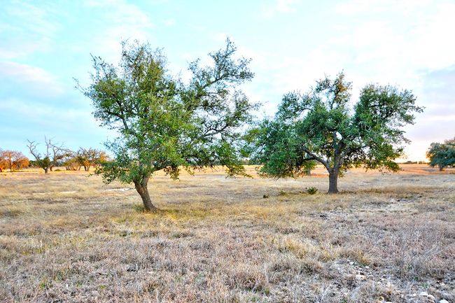104 - Lot 104 Oryx View Dr, Home with 0 bedrooms, 0 bathrooms and null parking in Harper TX | Image 4