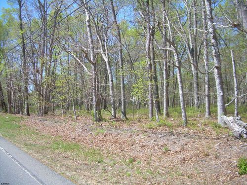 0 Mazzini, Buena Vista Township, NJ, 08310 | Card Image