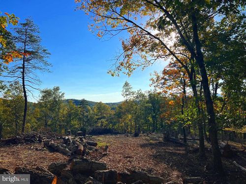 33 Pheasant Run Rd, BURLINGTON, WV, 26710 | Card Image