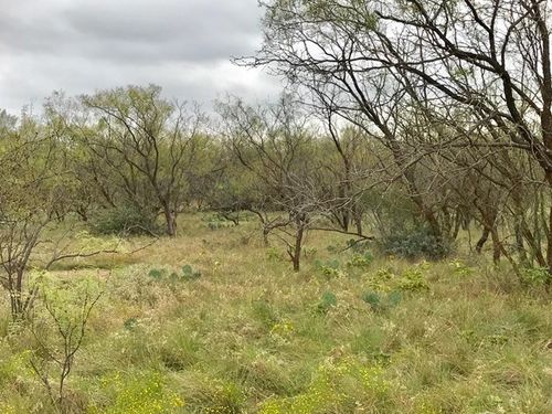 0 S Jameson Rd, San Angelo, TX, 76901 | Card Image