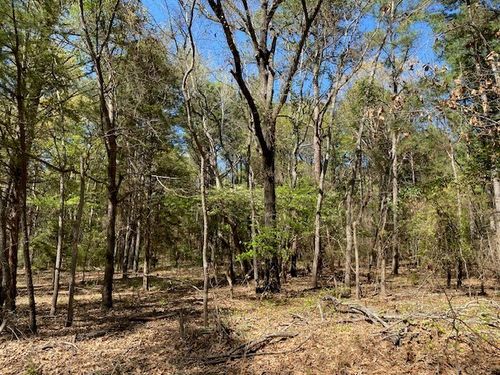 Lots 30-34 Armadillo Drive, Murchison, TX, 75778 | Card Image