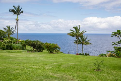 35-2064 Hulaana Pl, PAPAALOA, HI, 96764 | Card Image