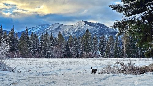 0 NVLot 5 Nelson Ln, Cle Elum, WA, 98922 | Card Image