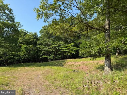 1337 Shanghai Rd, BERKELEY SPRINGS, WV, 25411-6647 | Card Image