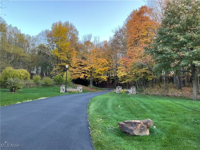 View of driveway with street lighting | Image 4