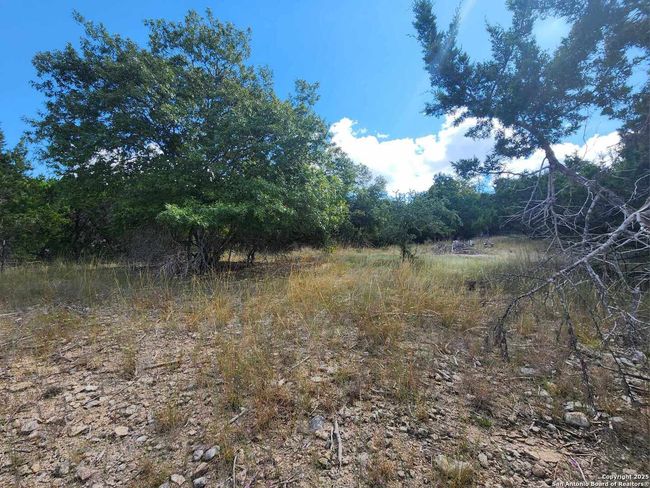 210 Indian Trl, Home with 0 bedrooms, 0 bathrooms and null parking in Spring Branch TX | Image 4