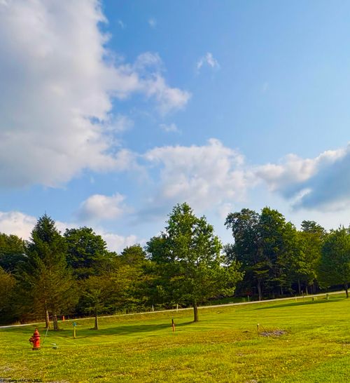 Lot 42 Penny Lane, Davis, WV, 26260 | Card Image