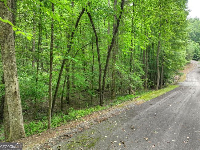 LTS 5, 6, 7 Mountain Springs Rd, Home with 0 bedrooms, 0 bathrooms and null parking in Ellijay GA | Image 24