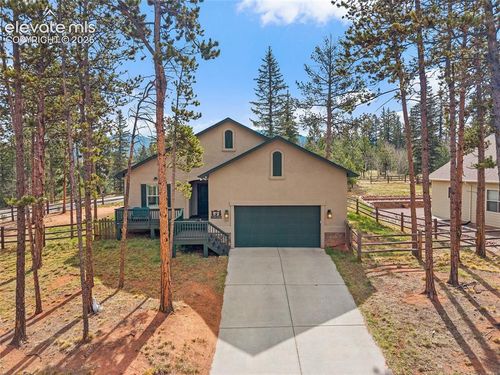 1101 Ptarmigan Dr, Woodland Park, CO, 80863-8004 | Card Image