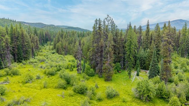 Mountain view featuring a forest | Image 16