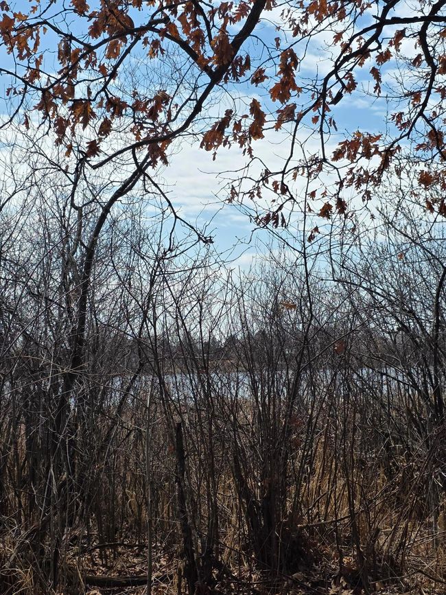 20250418_123050.jpg | Image 6