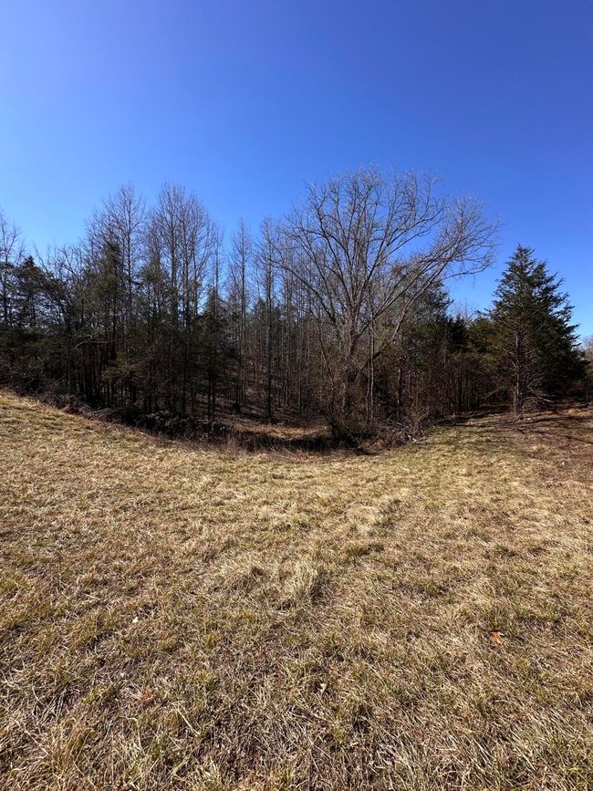 265 - 24265 S Mohawk Rd, Home with 0 bedrooms, 0 bathrooms and null parking in Mohawk TN | Image 33