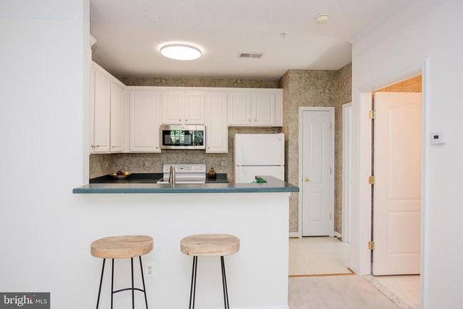 APT-202 - 12161 Abington Hall Pl, Condo with 2 bedrooms, 2 bathrooms and null parking in RESTON VA | Image 23