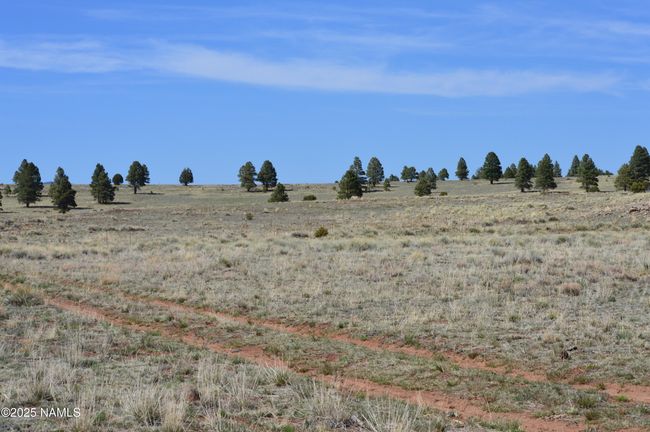 2 E Tanner Ranch Rd, Home with 0 bedrooms, 0 bathrooms and null parking in Parks AZ | Image 20