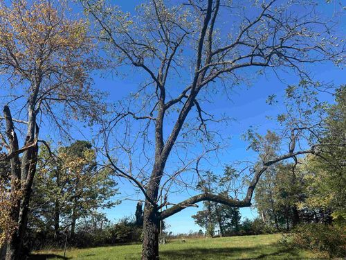 159 Brownsville Springs Rd, Greers Ferry, AR, 72067-8976 | Card Image