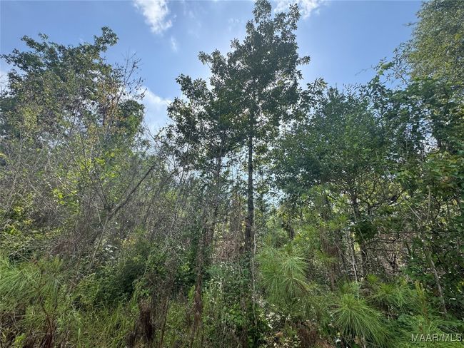 0 Highway 106 E, Home with 0 bedrooms, 0 bathrooms and null parking in Georgiana AL | Image 12