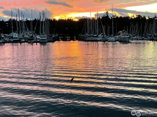 1333 E Bay Dr Ne, Olympia, WA, 98506-3960 | Card Image