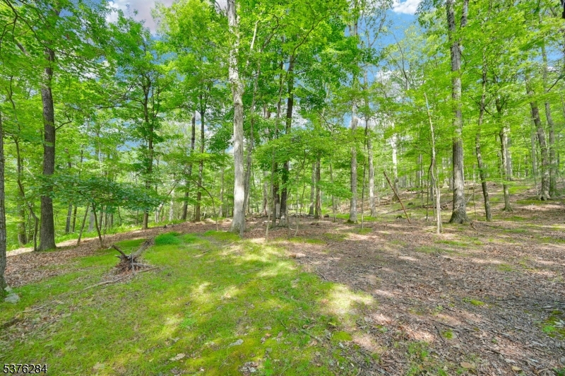 Land in Fredon Twp. 2