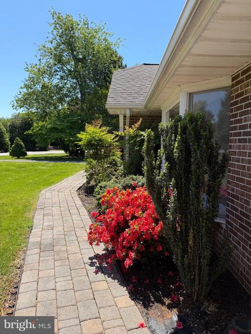 24555 Deepwater Point, SAINT MICHAELS, MD, 21663 | Card Image