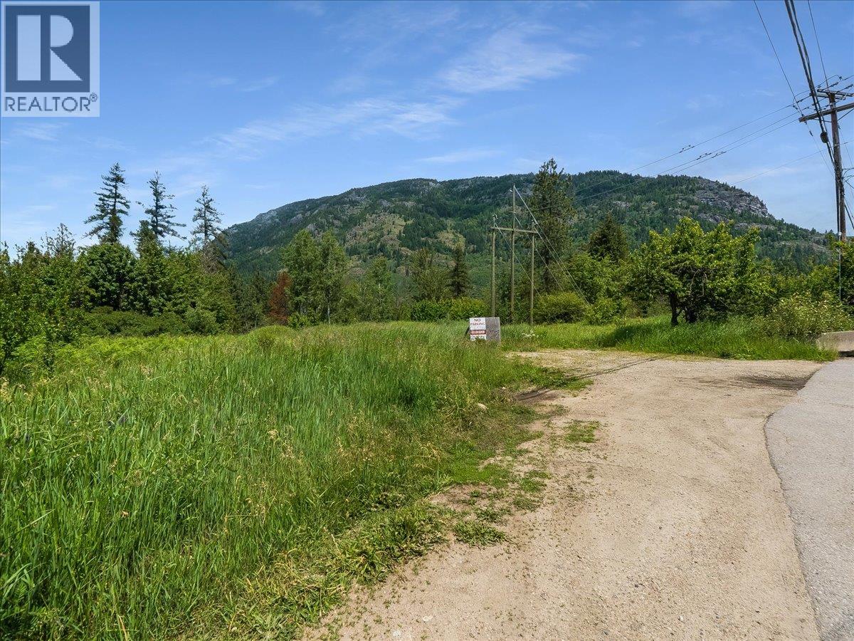 Land in Castlegar 2