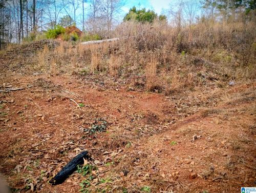 lot-10-150 County Road 261, Lineville, AL, 36266 | Card Image