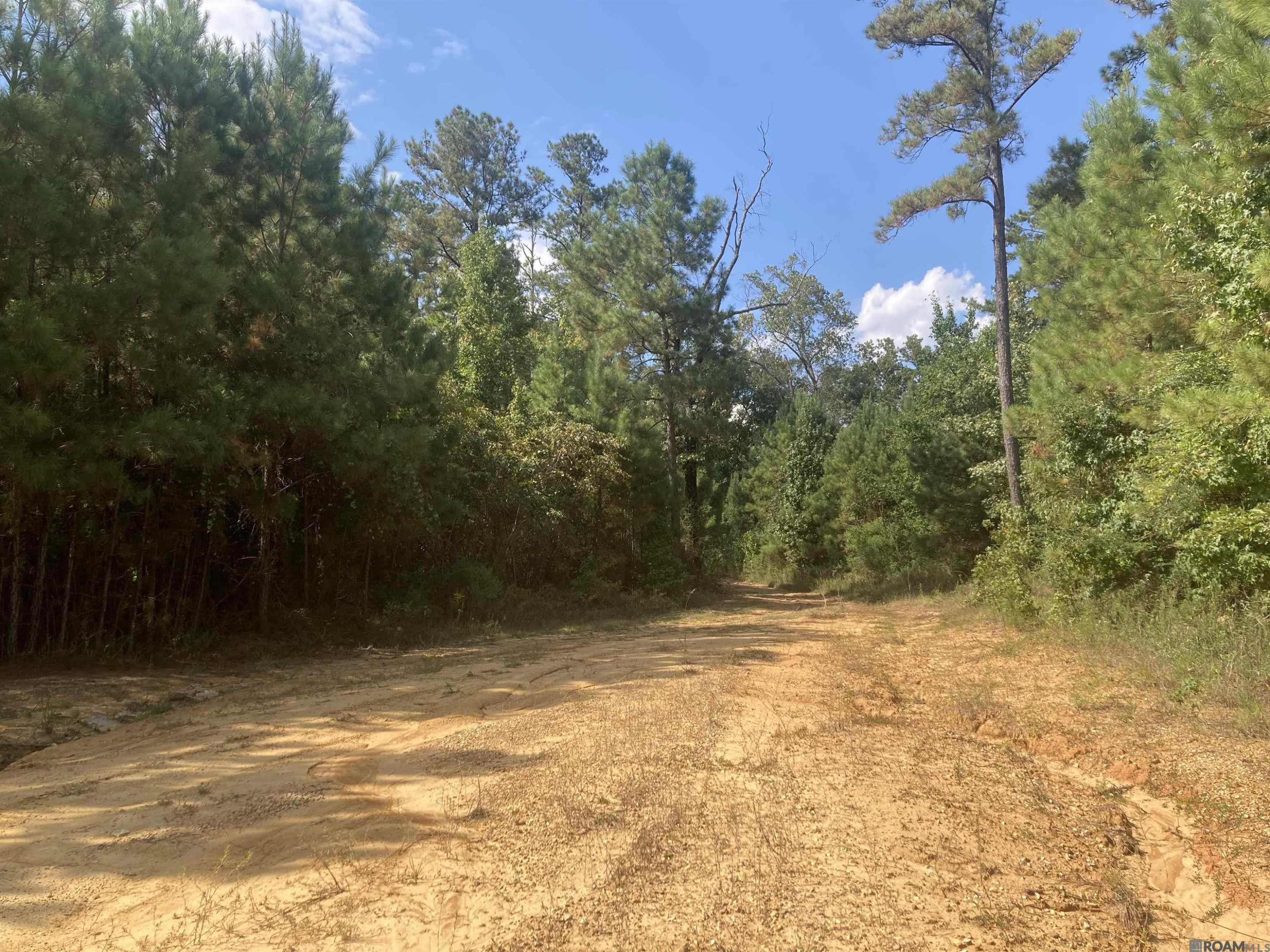Land in Jackson