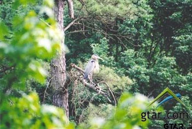 Lot 2 Cottontail Dr, Home with 0 bedrooms, 0 bathrooms and null parking in Mt Vernon TX | Image 12