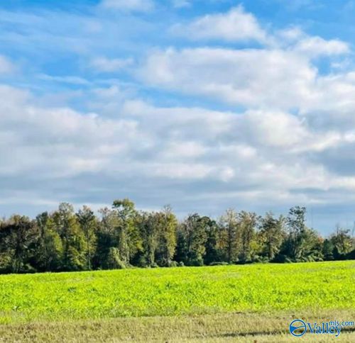 418 Scenic Dr, Section, AL, 35771 | Card Image