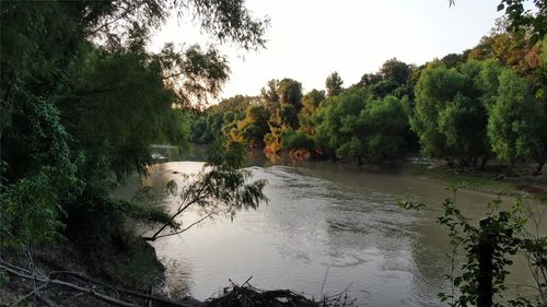 11789 Fm 2095, Gause, TX, 77857 | Card Image