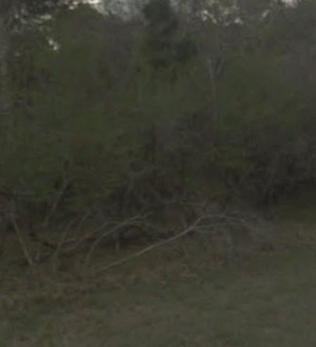 22 S Forest Cove Loop, Home with 0 bedrooms, 0 bathrooms and null parking in Coldspring TX | Image 4
