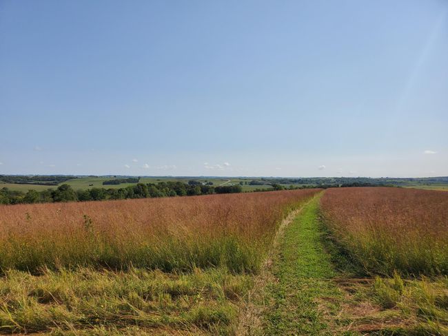 TBD 110 Th St Se, Home with 0 bedrooms, 0 bathrooms and null parking in Chatfield MN | Image 4