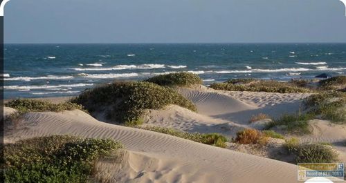 1-15-None Ocean Blvd, South Padre Island, TX, 78597 | Card Image