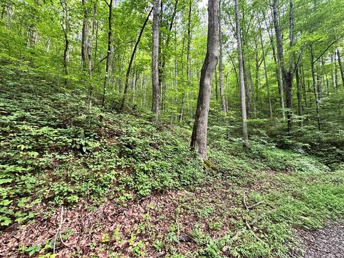 Lot 19 Burnt Leaf Ln, Hayesville, NC, 28904-9003 | Card Image
