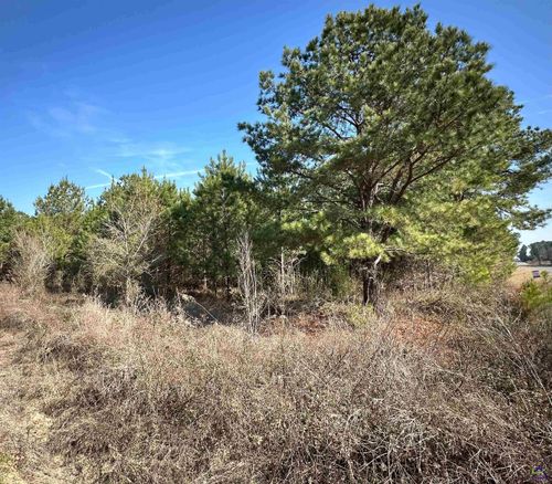 0 Mount Pleasant Rd, Pineview, GA, 31071 | Card Image