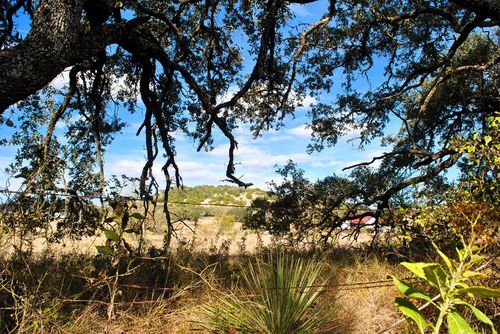 3-000 W Live Oak St, Fredericksburg, TX, 78624 | Card Image