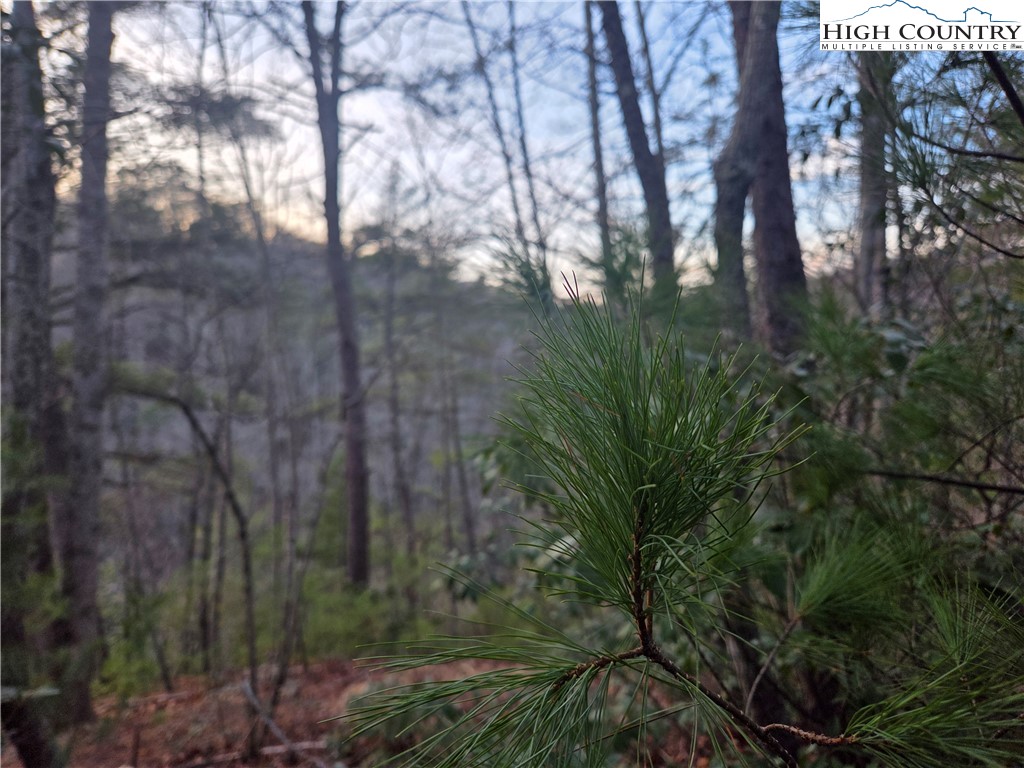 Land in Deep Gap 3