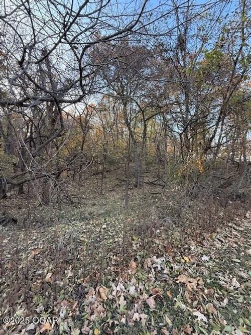 000 Shady Ln, Joplin, MO, 64804 | Card Image