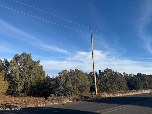 136 County Road 3148, Vernon, AZ, 85940 | Card Image