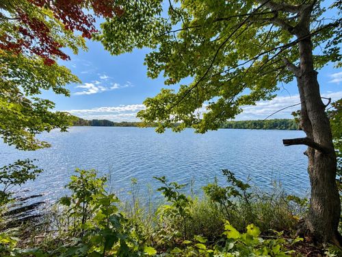 TBD Fox Lake Dr, Beaver Island, MI, 49782 | Card Image