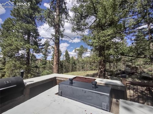 1176 Trail Creek Rd, Lake George, CO, 80827 | Card Image