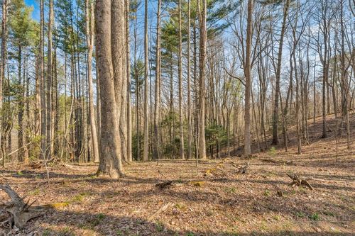 TBD Private Drive, Sugar Grove, NC, 28679 | Card Image