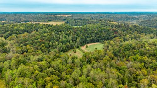 1695 Puncheon Creek Rd, Lafayette, TN, 37083-4509 | Card Image