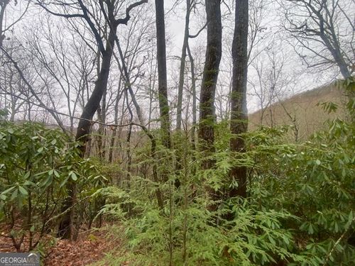 LOT 17 Ridgepole Drive, Sky Valley, GA, 30537 | Card Image