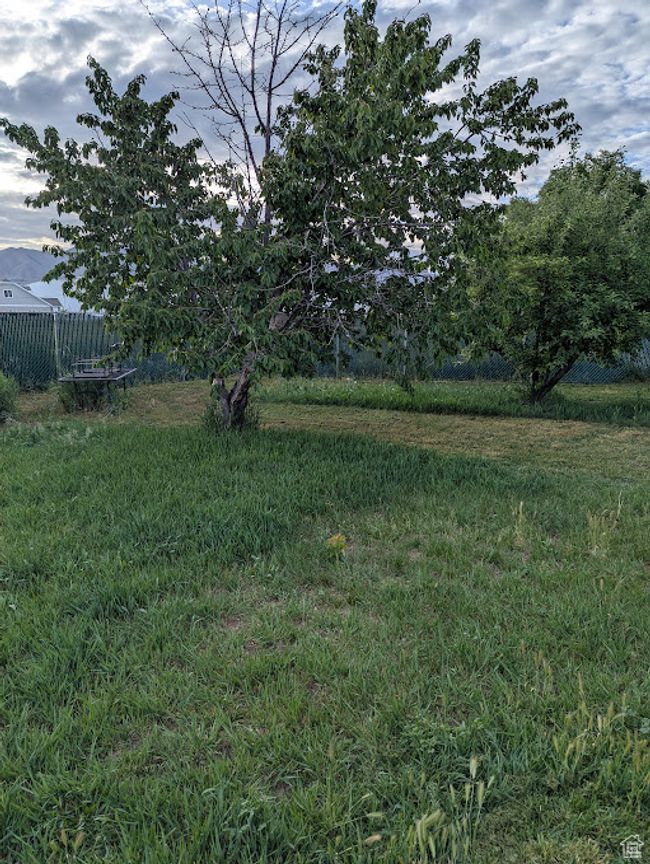View of yard featuring fence | Image 25