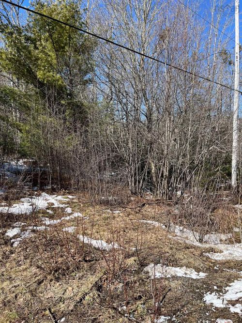 535 Westfield Rd, Caledonia, NS, B0T1B0 | Card Image