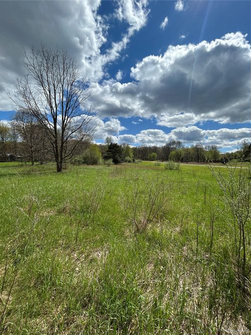 Parcel 2 E Coon Lake Rd, Genoa Township, MI, 48843 | Card Image