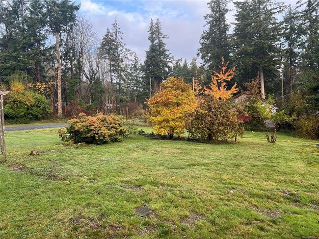variety of ornamental shrubs closer to Quadra Loop | Image 7