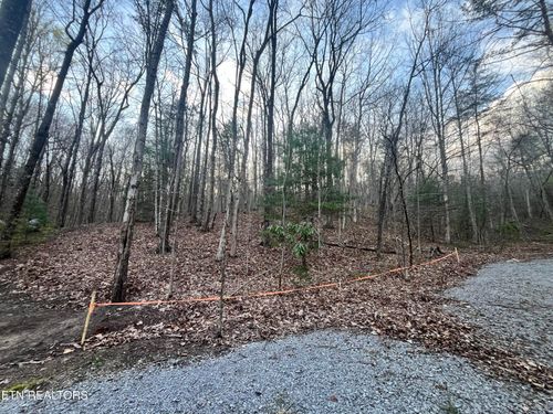 6871 Holiday Dr, Tallassee, TN, 37878-2378 | Card Image